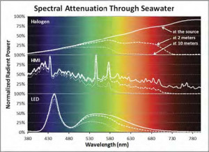 Spectral attenuation through seawater with Halogen, HMI, and LED lights