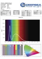 True Lumens Sample Report