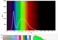 True Lumens Report