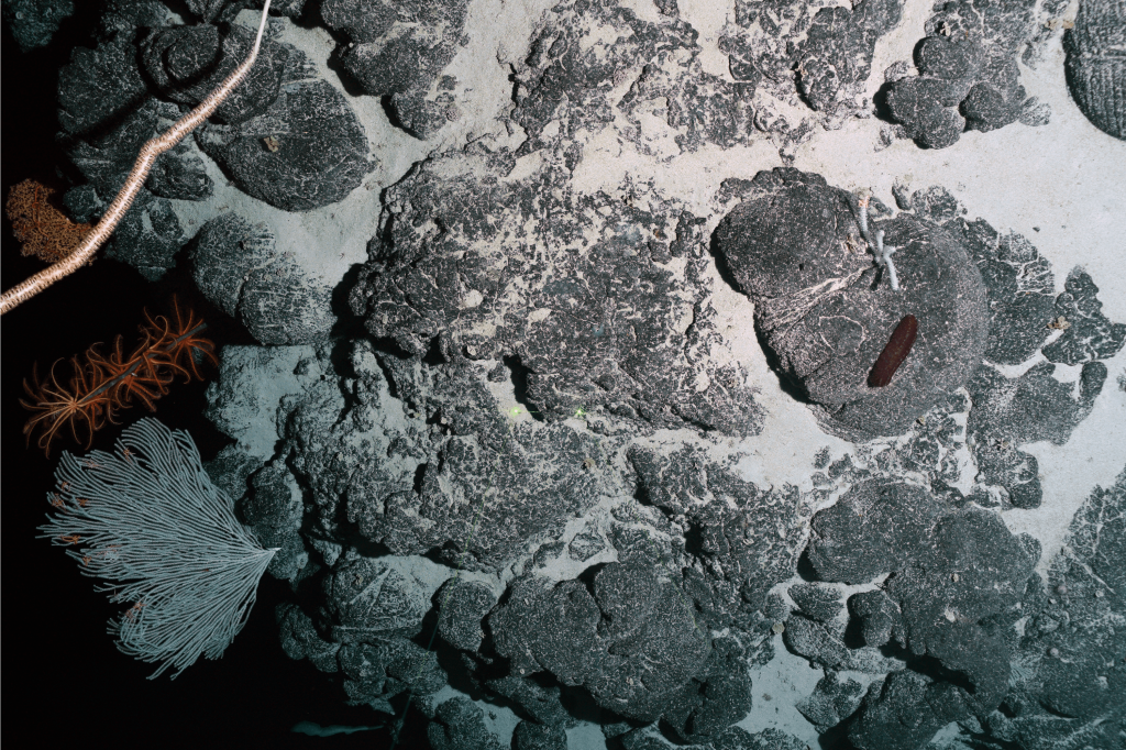 | DeepSea Sediment covered pillow lavas