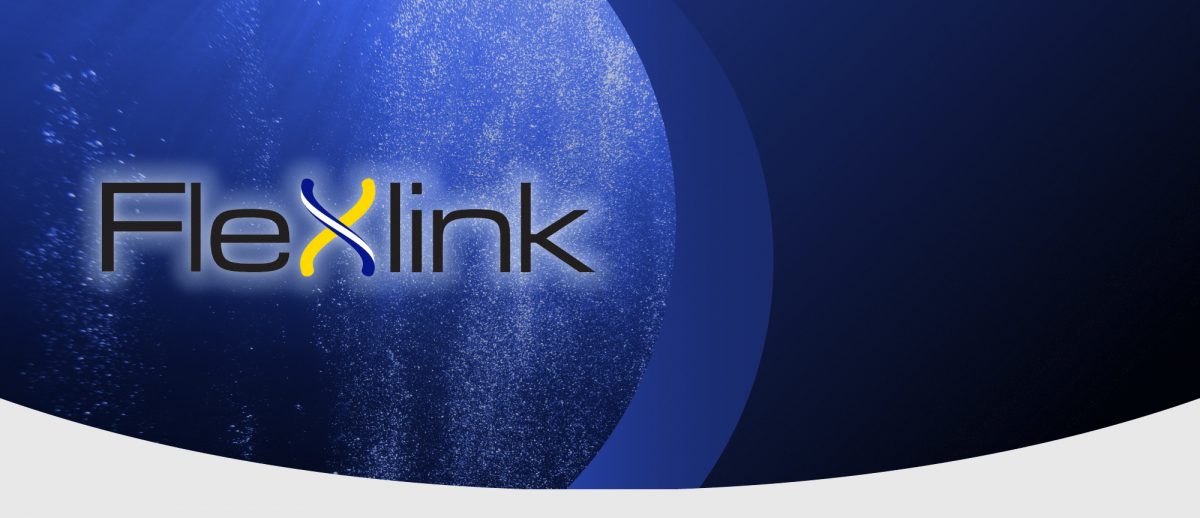 technology_flexlink DeepSea
