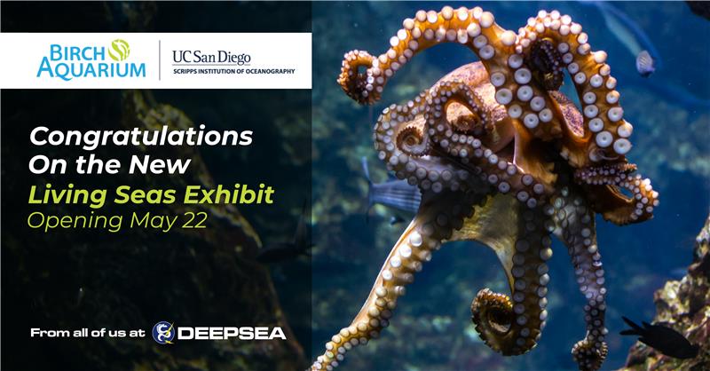 Birch Aquarium Living Seas