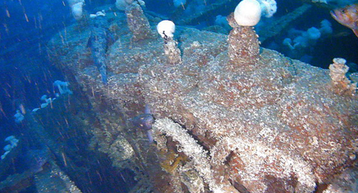 DeepSea 2015 transition to LED lighting